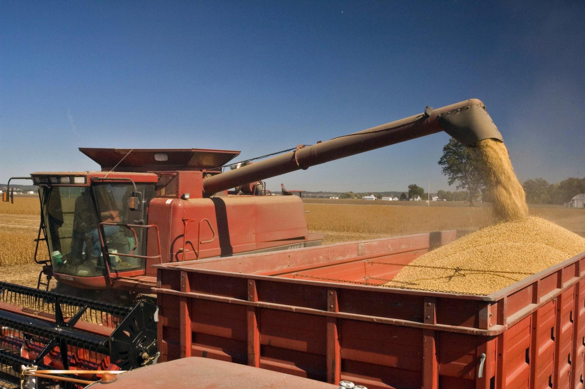 Как Россия пытается подорвать западные санкции и выдержит ли Европа давление Кремля